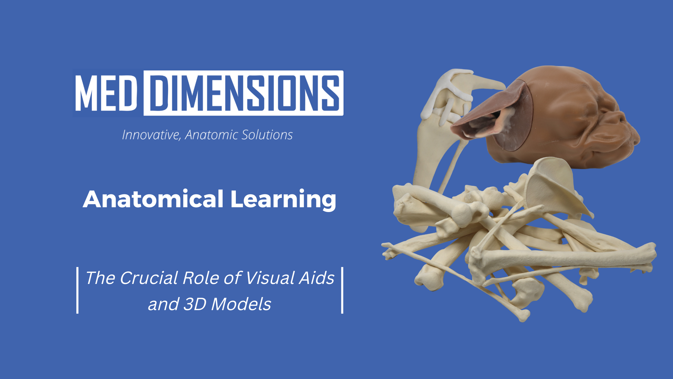 Home - Med Dimensions